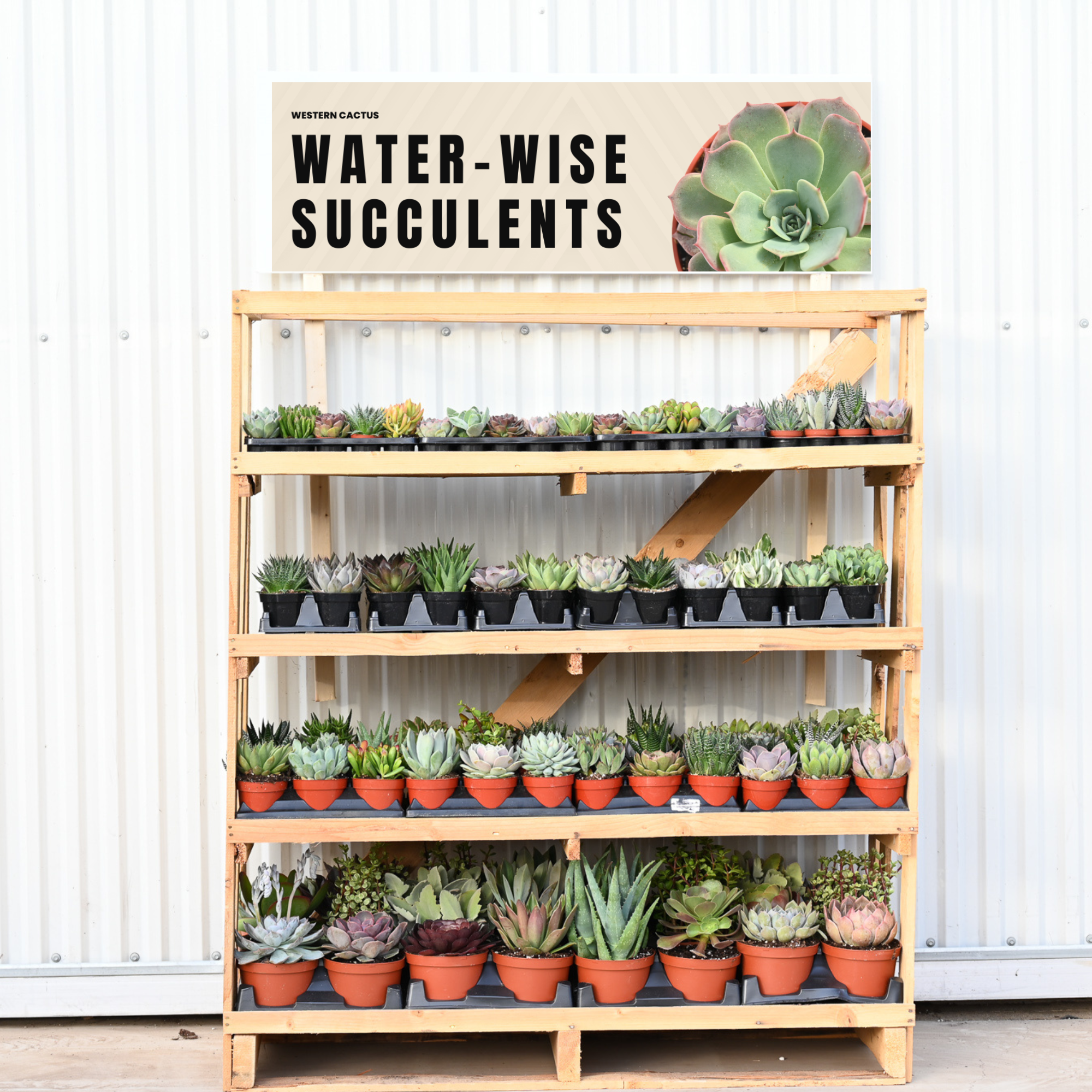 Grower Pot Rack – Western Cactus