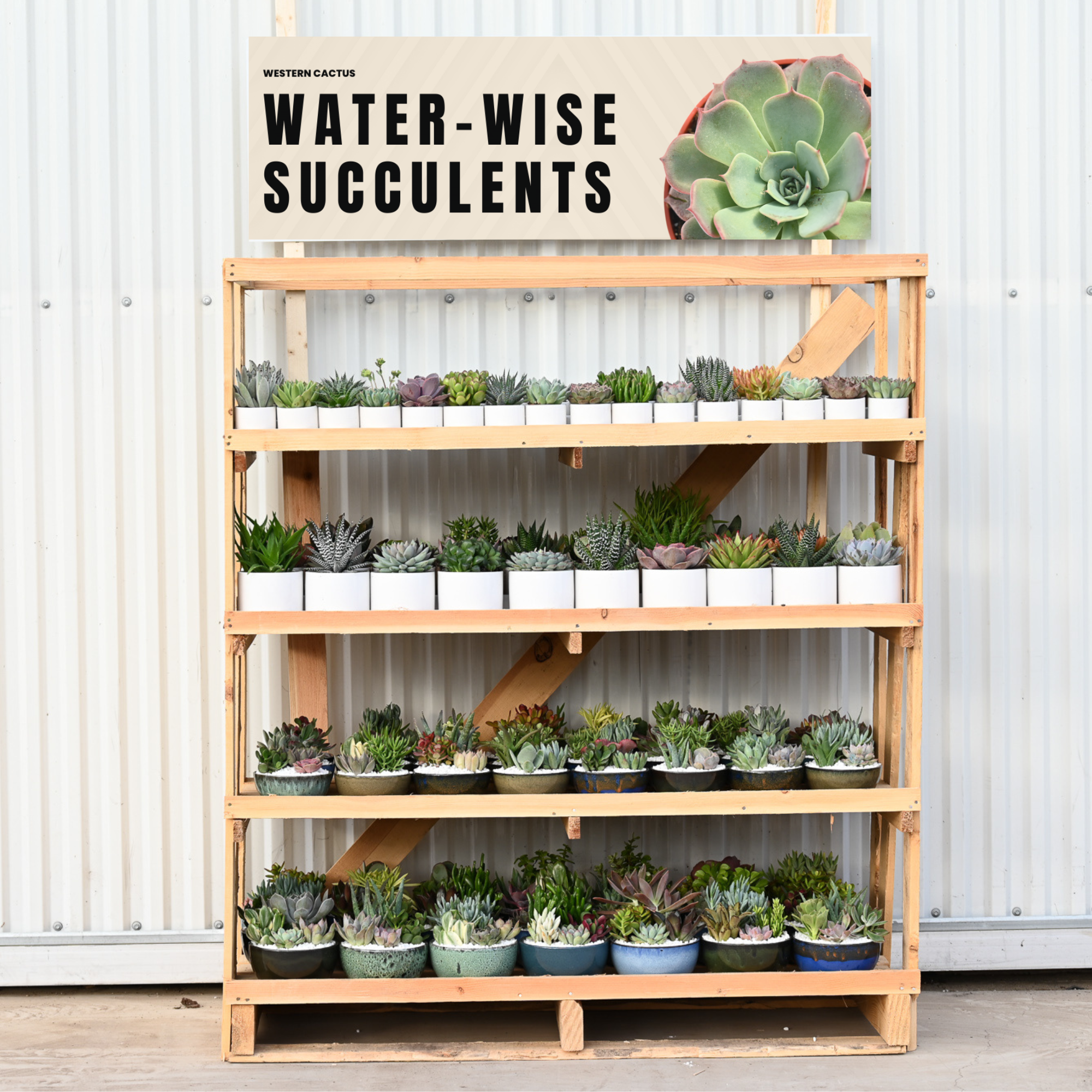 Ceramic Rack – Western Cactus